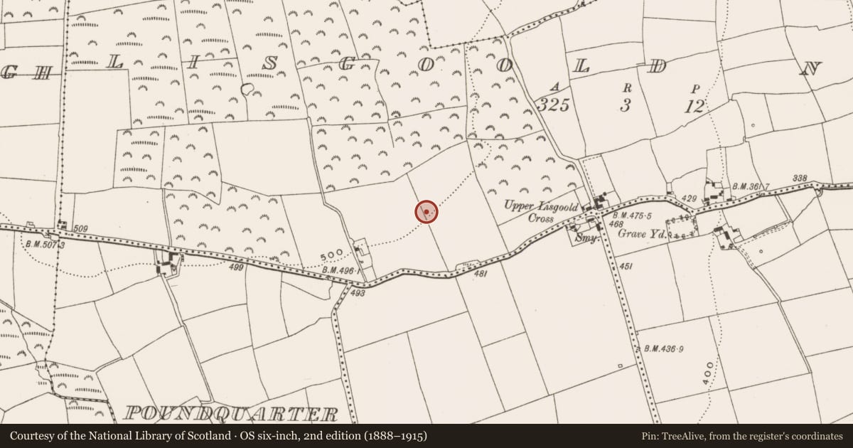 Ordnance Survey six-inch map, 2nd edition (1888–1915) covering the location of Ringfort - rath, Lisgoold North, County Cork, with a pin at the register's coordinates