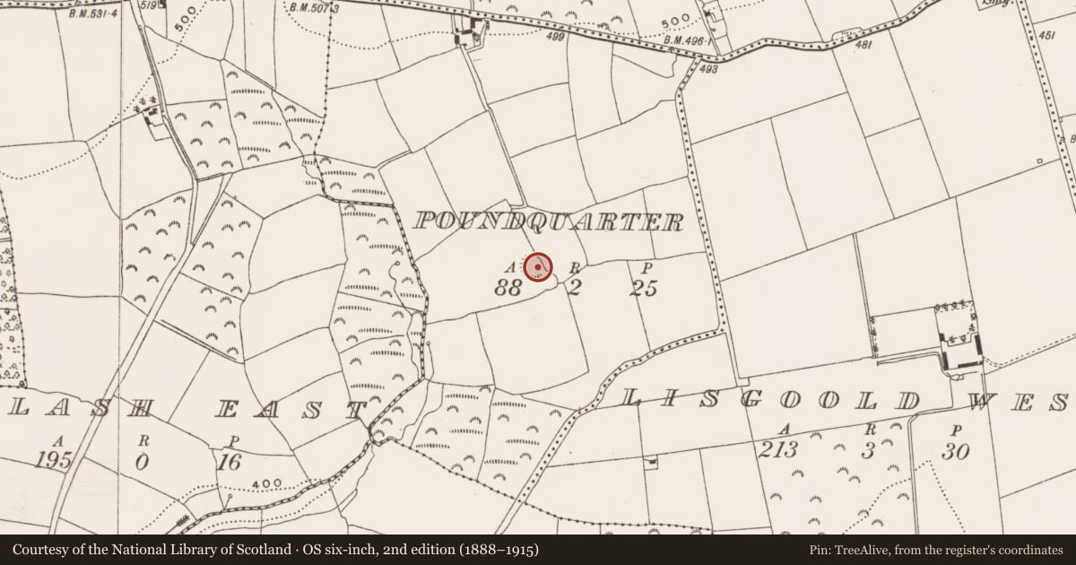 Ordnance Survey six-inch map, 2nd edition (1888–1915) covering the location of Ringfort - rath, Poundquarter, County Cork, with a pin at the register's coordinates
