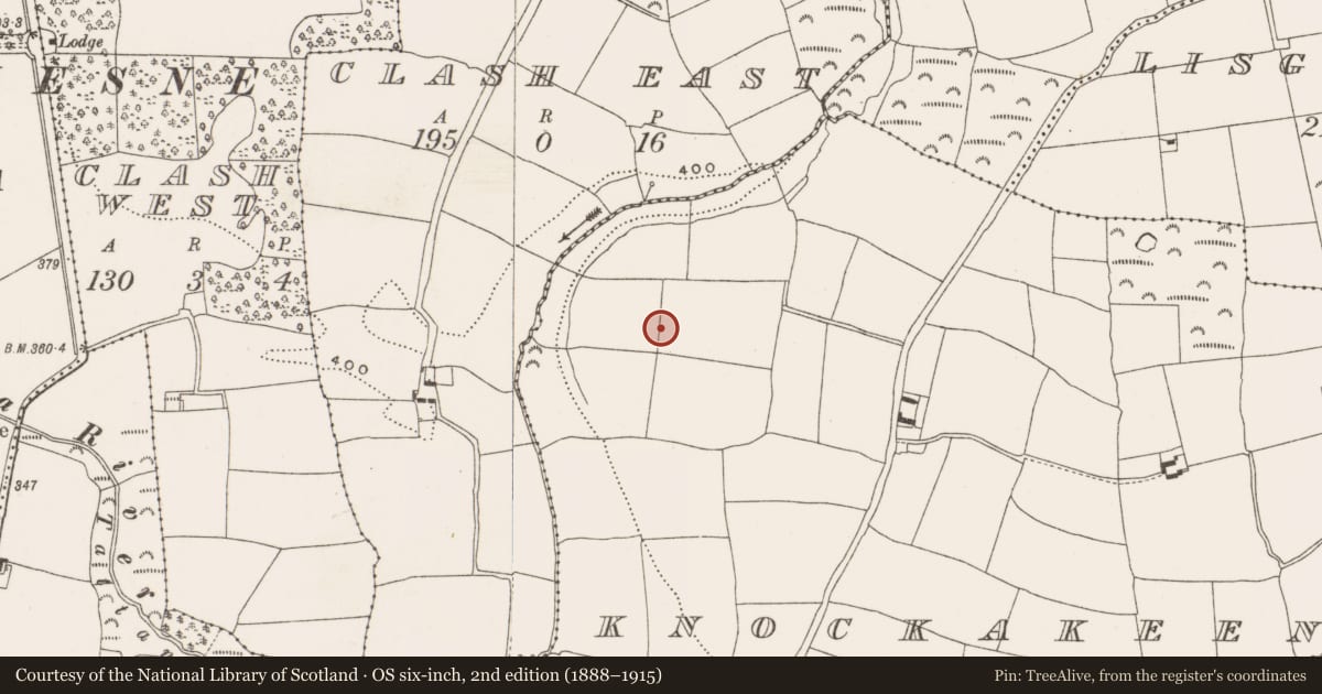 Ordnance Survey six-inch map, 2nd edition (1888–1915) covering the location of Standing stone, Knockakeen, County Cork, with a pin at the register's coordinates