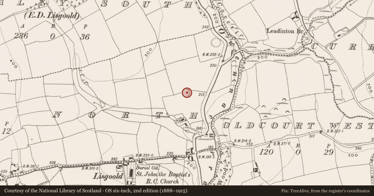 Ordnance Survey six-inch map, 2nd edition (1888–1915) covering the location of Ringfort - rath, Lisgoold North, County Cork, with a pin at the register's coordinates