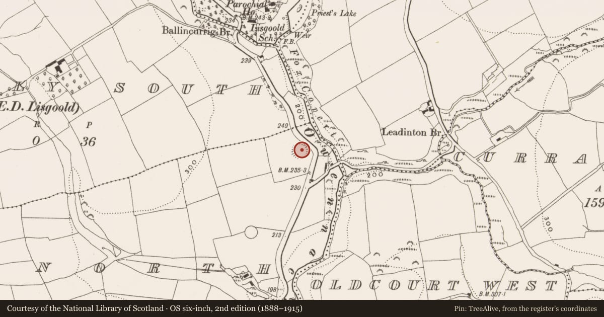 Ordnance Survey six-inch map, 2nd edition (1888–1915) covering the location of Ringfort - rath, Lisgoold North, County Cork, with a pin at the register's coordinates