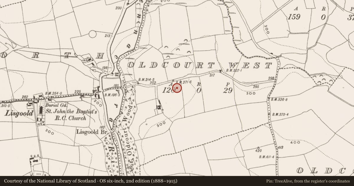 Ordnance Survey six-inch map, 2nd edition (1888–1915) covering the location of Ringfort - rath, Oldcourt West, County Cork, with a pin at the register's coordinates