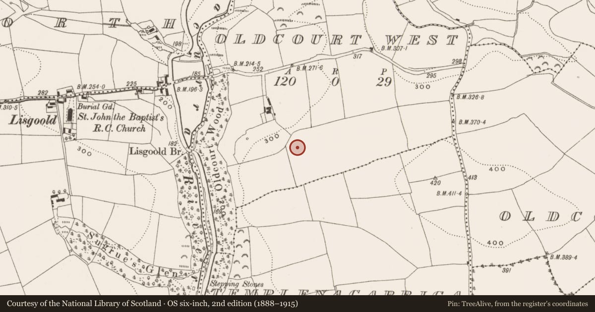 Ordnance Survey six-inch map, 2nd edition (1888–1915) covering the location of Ringfort - rath, Oldcourt West, County Cork, with a pin at the register's coordinates