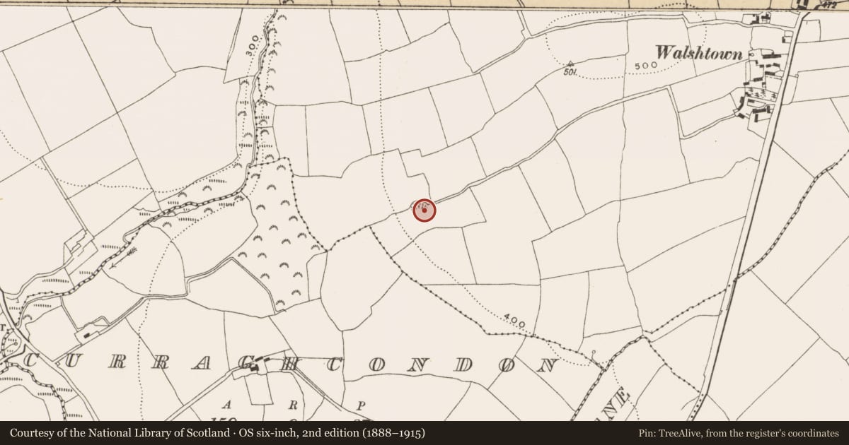 Ordnance Survey six-inch map, 2nd edition (1888–1915) covering the location of Ringfort - rath, Walshtown Beg, County Cork, with a pin at the register's coordinates