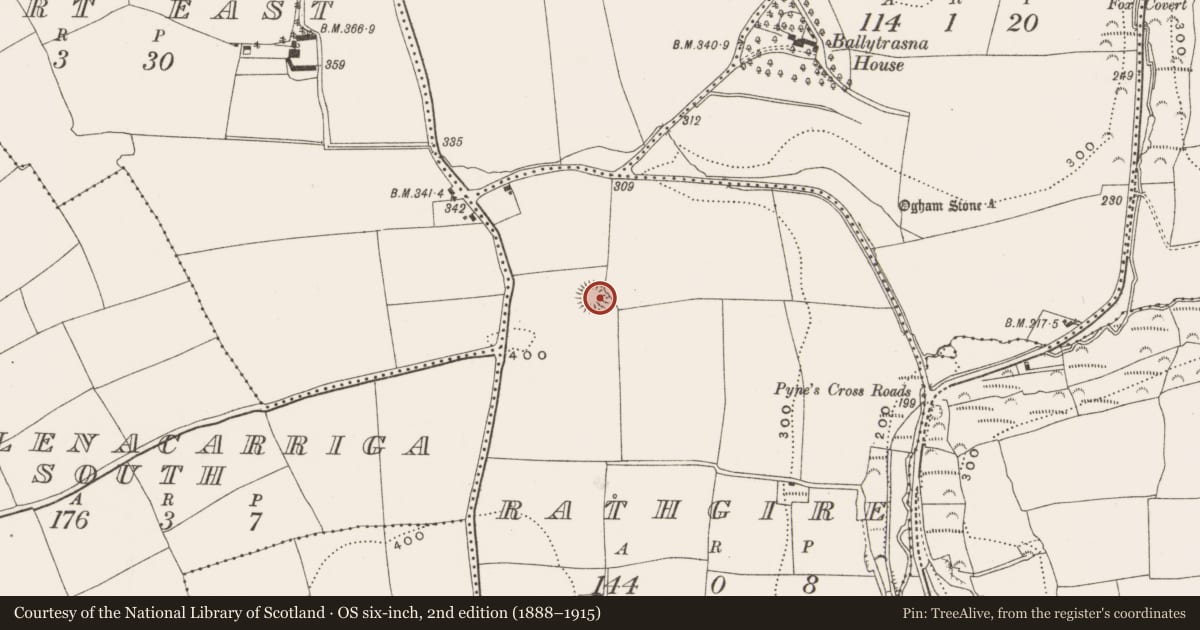 Ordnance Survey six-inch map, 2nd edition (1888–1915) covering the location of Ringfort - rath, Rathgire, County Cork, with a pin at the register's coordinates