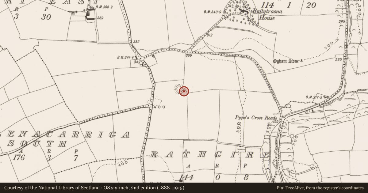 Ordnance Survey six-inch map, 2nd edition (1888–1915) covering the location of Souterrain, Rathgire, County Cork, with a pin at the register's coordinates