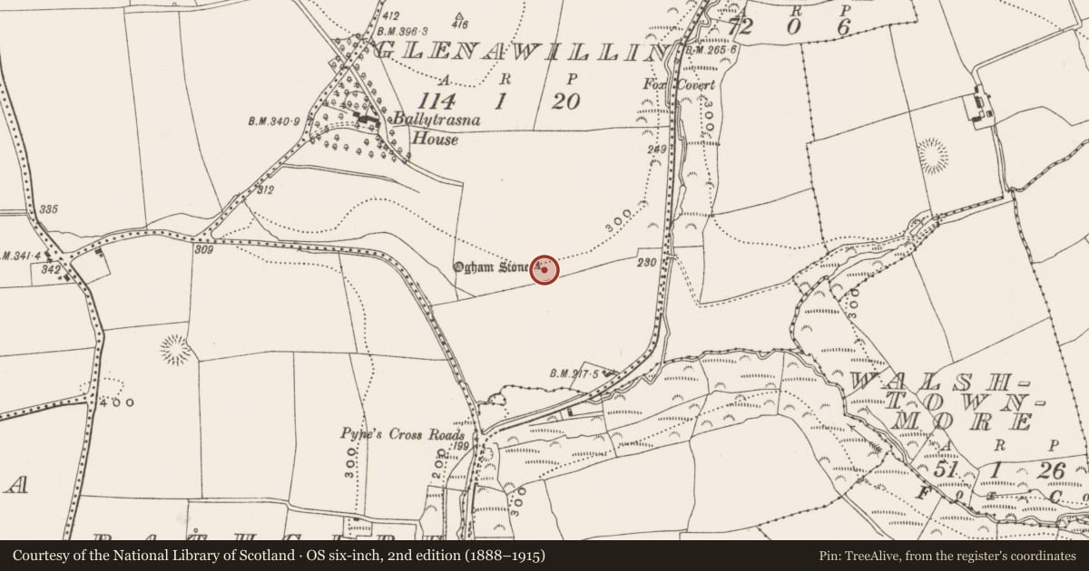 Ordnance Survey six-inch map, 2nd edition (1888–1915) covering the location of Ogham stone, Glenawillin, County Cork, with a pin at the register's coordinates