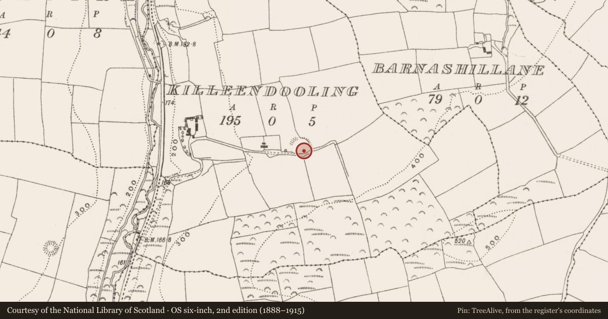 Ordnance Survey six-inch map, 2nd edition (1888–1915) covering the location of Ringfort - rath, Killeendooling, County Cork, with a pin at the register's coordinates
