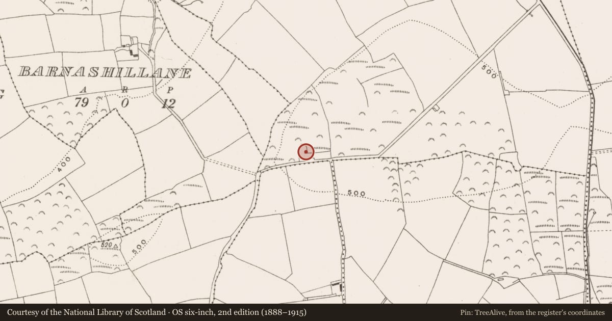 Ordnance Survey six-inch map, 2nd edition (1888–1915) covering the location of Kiln - lime, Glenathonacash, County Cork, with a pin at the register's coordinates