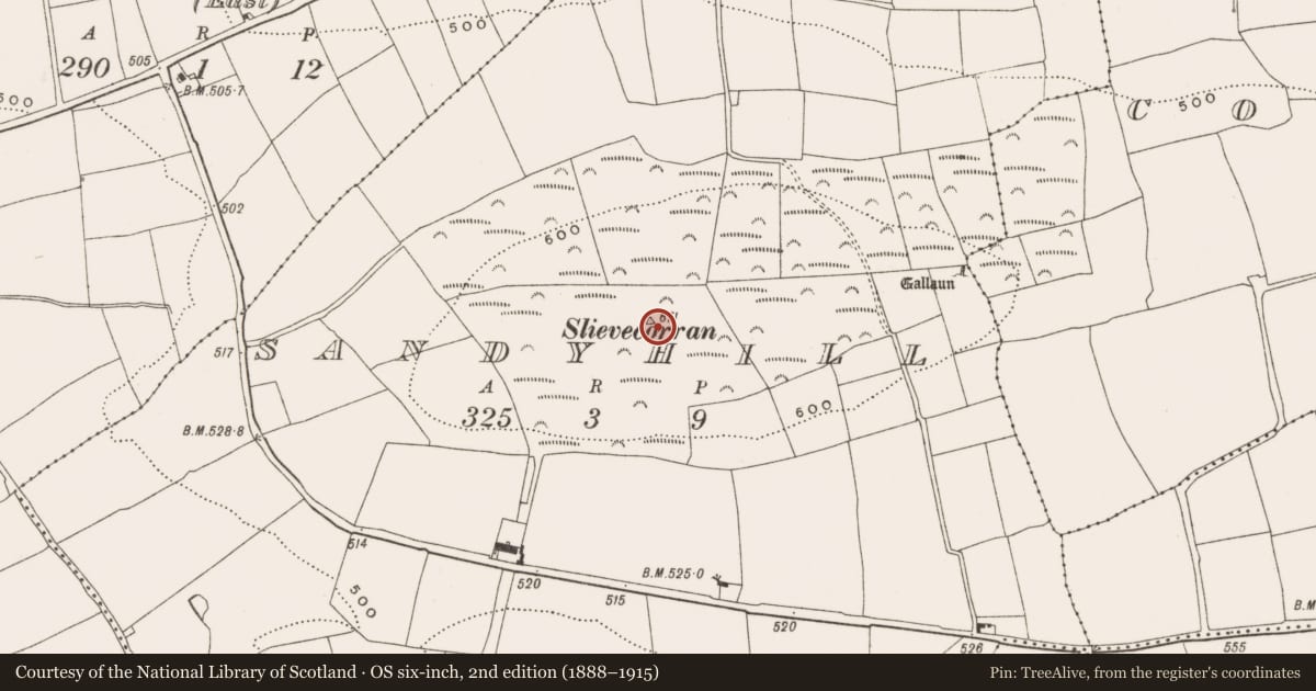 Ordnance Survey six-inch map, 2nd edition (1888–1915) covering the location of Cairn - unclassified, Sandyhill, County Cork, with a pin at the register's coordinates