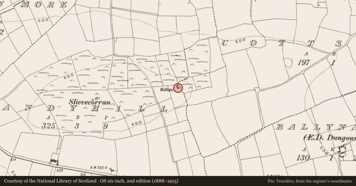 Ordnance Survey six-inch map, 2nd edition (1888–1915) covering the location of Standing stone, Sandyhill, County Cork, with a pin at the register's coordinates
