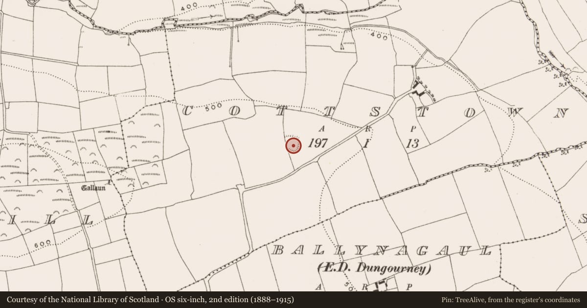 Ordnance Survey six-inch map, 2nd edition (1888–1915) covering the location of Ringfort - rath, Cottstown, County Cork, with a pin at the register's coordinates