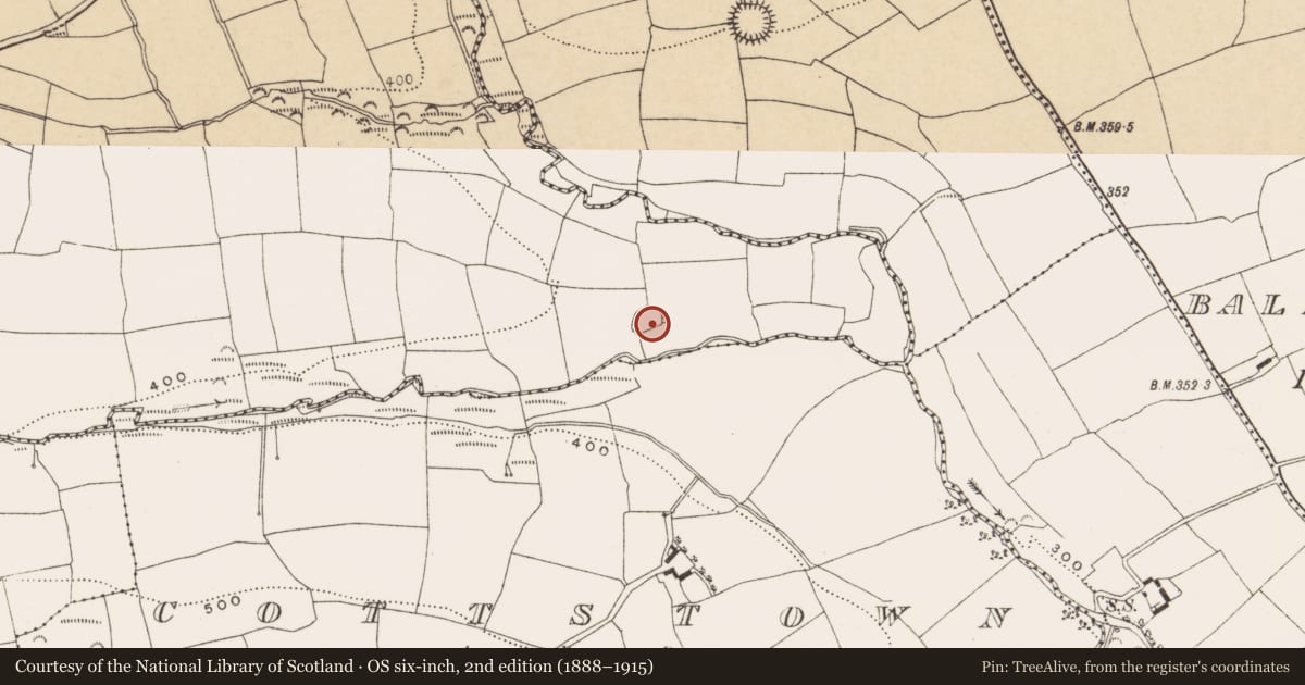 Ordnance Survey six-inch map, 2nd edition (1888–1915) covering the location of Ringfort - rath, Ballynona North, County Cork, with a pin at the register's coordinates