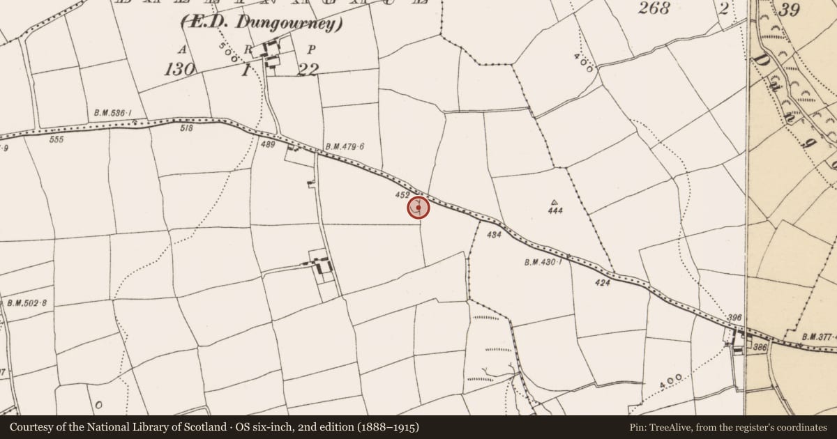 Ordnance Survey six-inch map, 2nd edition (1888–1915) covering the location of Ringfort - rath, Glenbeg, County Cork, with a pin at the register's coordinates