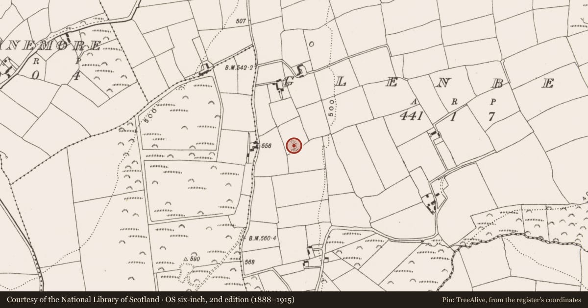 Ordnance Survey six-inch map, 2nd edition (1888–1915) covering the location of Ringfort - rath, Glenbeg, County Cork, with a pin at the register's coordinates