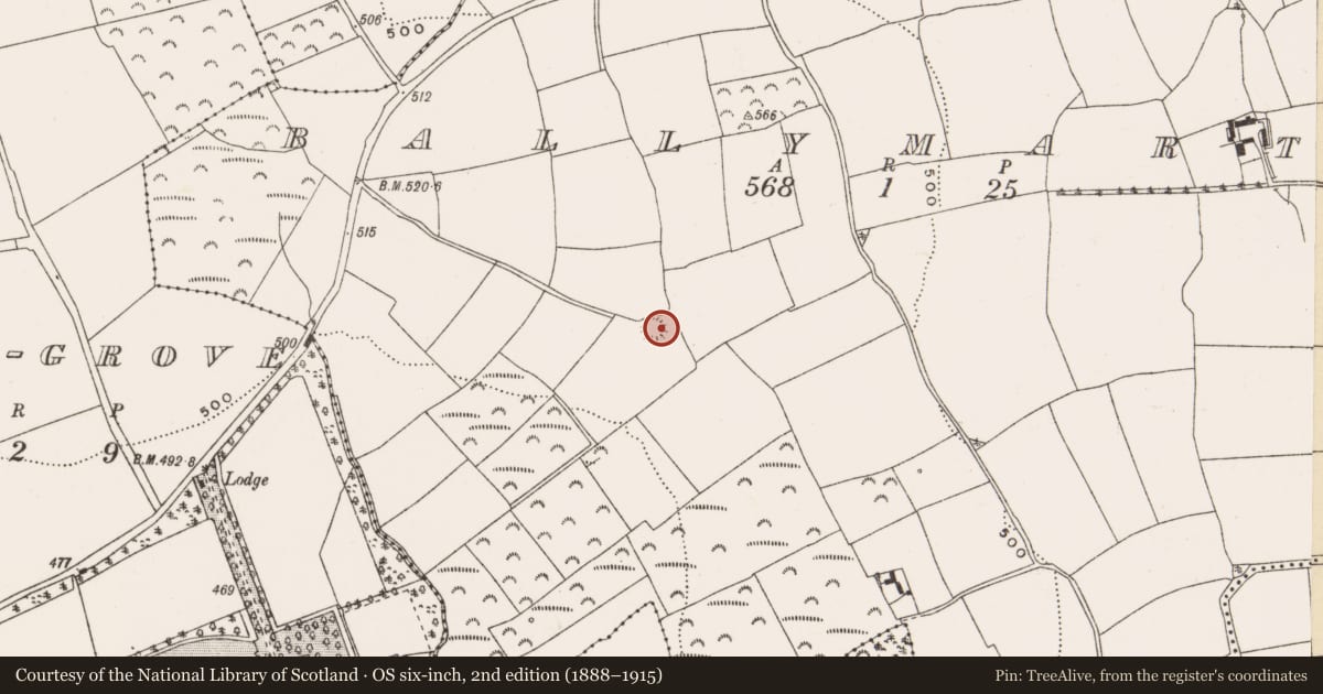 Ordnance Survey six-inch map, 2nd edition (1888–1915) covering the location of Ringfort - rath, Ballymartin, County Cork, with a pin at the register's coordinates