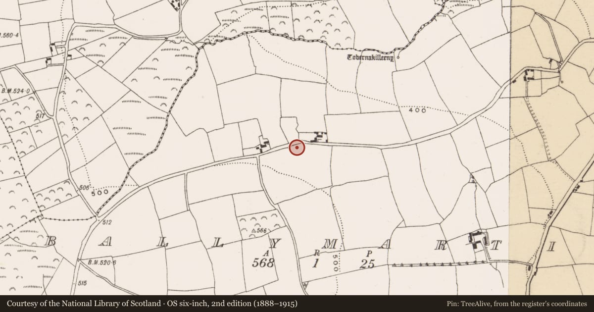 Ordnance Survey six-inch map, 2nd edition (1888–1915) covering the location of Ritual site - holy well, Ballymartin, County Cork, with a pin at the register's coordinates