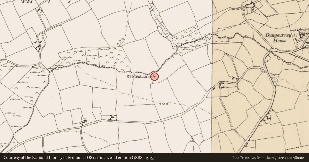 Ordnance Survey six-inch map, 2nd edition (1888–1915) covering the location of Ritual site - holy well, Ballymartin, County Cork, with a pin at the register's coordinates