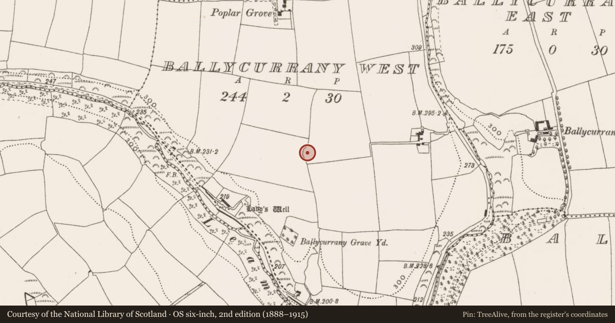 Ordnance Survey six-inch map, 2nd edition (1888–1915) covering the location of Ringfort - rath, Ballycurrany West, County Cork, with a pin at the register's coordinates