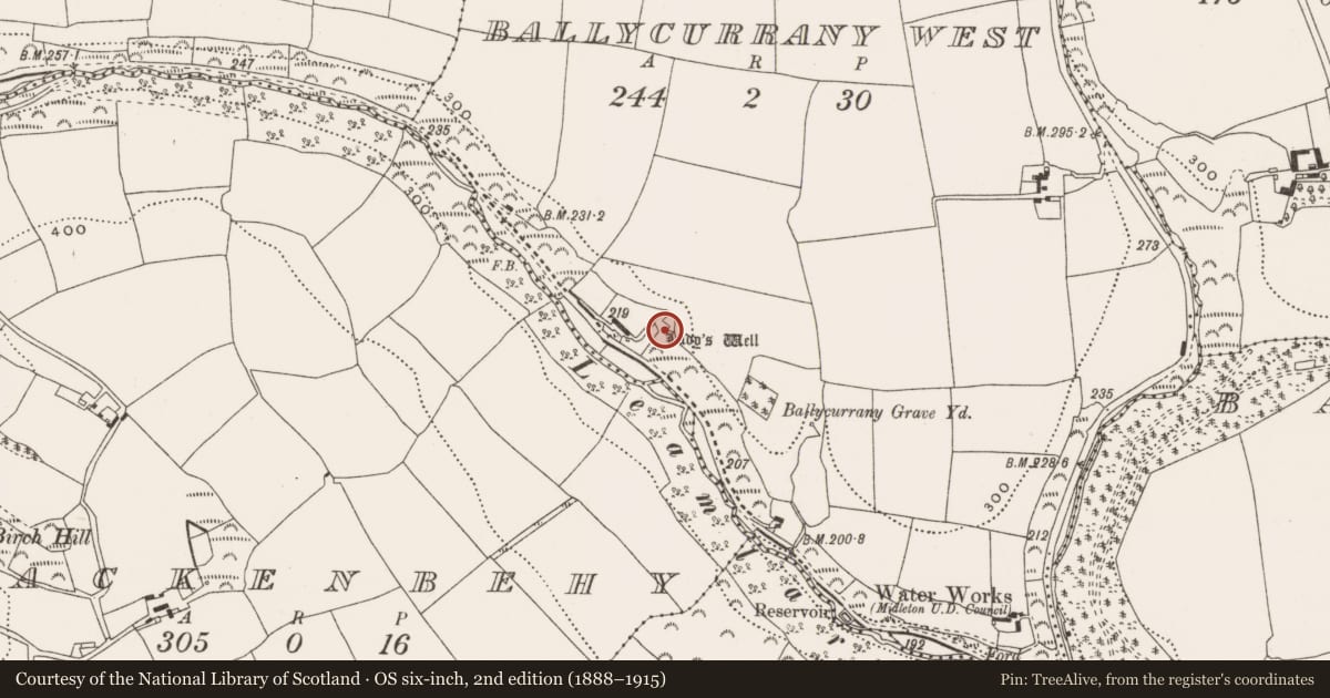 Ordnance Survey six-inch map, 2nd edition (1888–1915) covering the location of Ritual site - holy well, Ballycurrany West, County Cork, with a pin at the register's coordinates