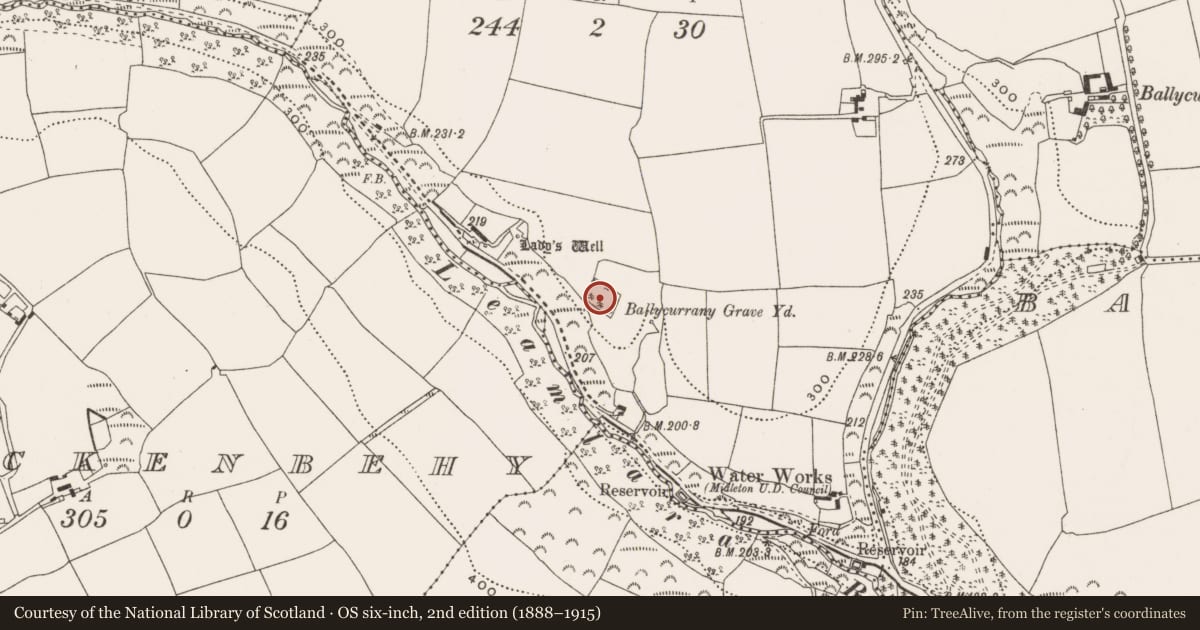 Ordnance Survey six-inch map, 2nd edition (1888–1915) covering the location of Burial ground, Ballycurrany West, County Cork, with a pin at the register's coordinates