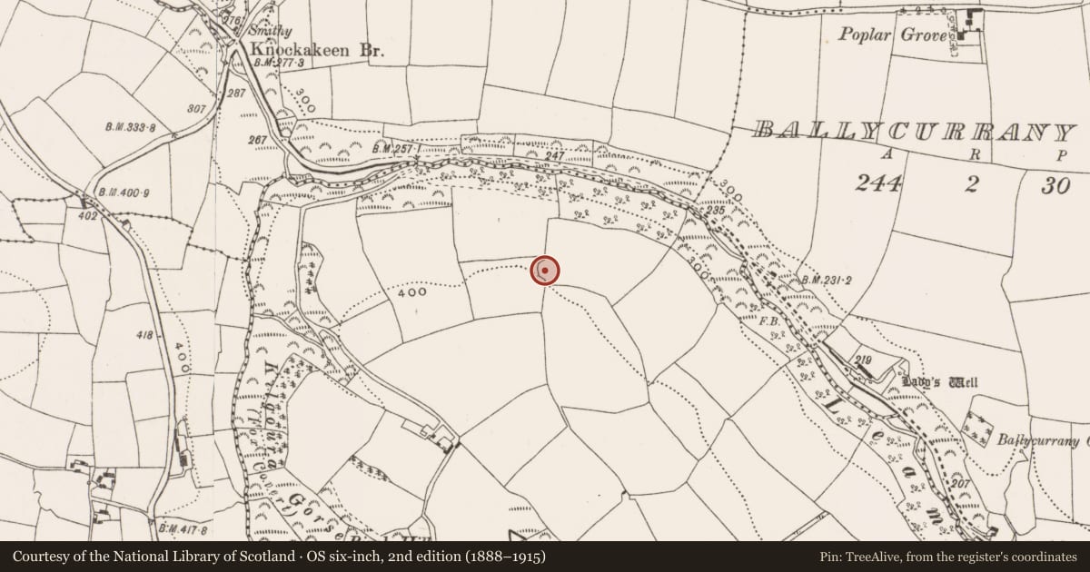 Ordnance Survey six-inch map, 2nd edition (1888–1915) covering the location of Ringfort - rath, Lackenbehy, County Cork, with a pin at the register's coordinates