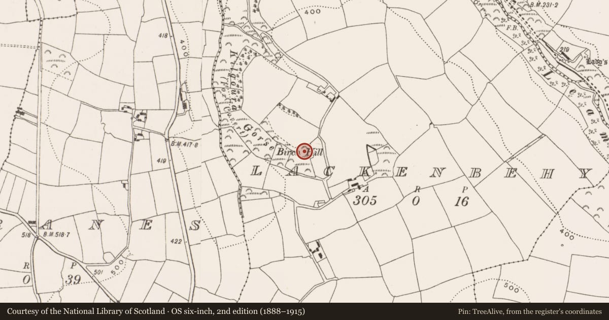 Ordnance Survey six-inch map, 2nd edition (1888–1915) covering the location of Ringfort - rath, Lackenbehy, County Cork, with a pin at the register's coordinates