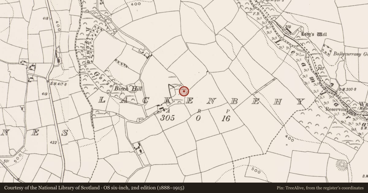 Ordnance Survey six-inch map, 2nd edition (1888–1915) covering the location of Fulacht fia, Lackenbehy, County Cork, with a pin at the register's coordinates