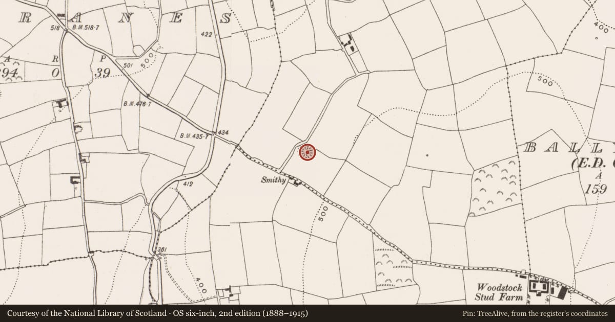 Ordnance Survey six-inch map, 2nd edition (1888–1915) covering the location of Ringfort - rath, Lackenbehy, County Cork, with a pin at the register's coordinates