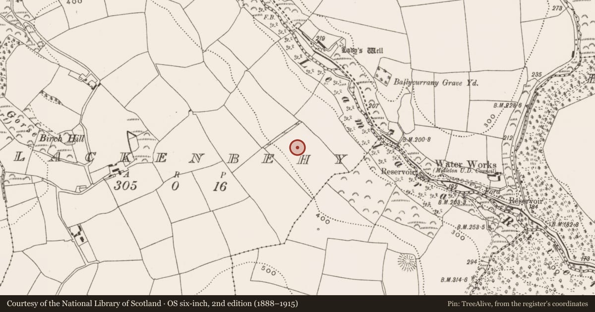 Ordnance Survey six-inch map, 2nd edition (1888–1915) covering the location of Fulacht fia, Lackenbehy, County Cork, with a pin at the register's coordinates