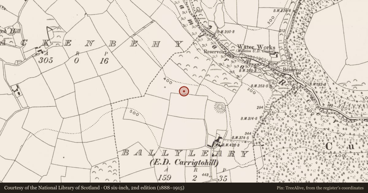 Ordnance Survey six-inch map, 2nd edition (1888–1915) covering the location of Ringfort - rath, County Cork, with a pin at the register's coordinates