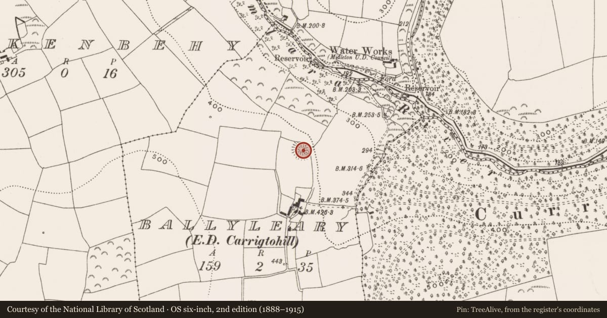Ordnance Survey six-inch map, 2nd edition (1888–1915) covering the location of Ringfort - rath, County Cork, with a pin at the register's coordinates