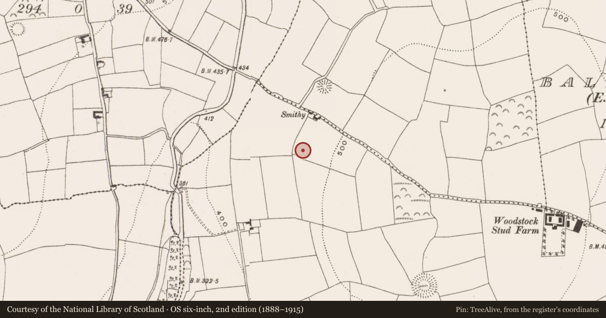 Ordnance Survey six-inch map, 2nd edition (1888–1915) covering the location of Ringfort - rath, Woodstock, County Cork, with a pin at the register's coordinates