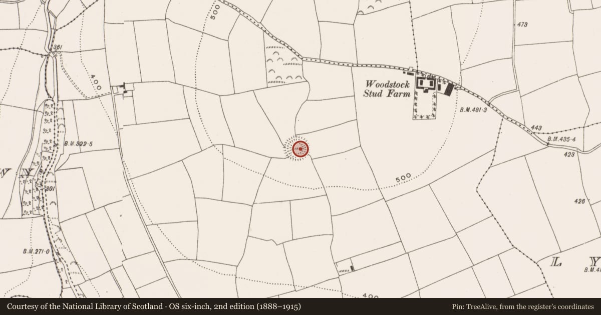 Ordnance Survey six-inch map, 2nd edition (1888–1915) covering the location of Ringfort - rath, Woodstock, County Cork, with a pin at the register's coordinates