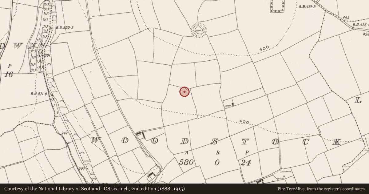 Ordnance Survey six-inch map, 2nd edition (1888–1915) covering the location of Ringfort - rath, Woodstock, County Cork, with a pin at the register's coordinates