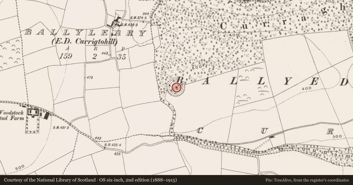 Ordnance Survey six-inch map, 2nd edition (1888–1915) covering the location of Hilltop enclosure, Curragh, County Cork, with a pin at the register's coordinates
