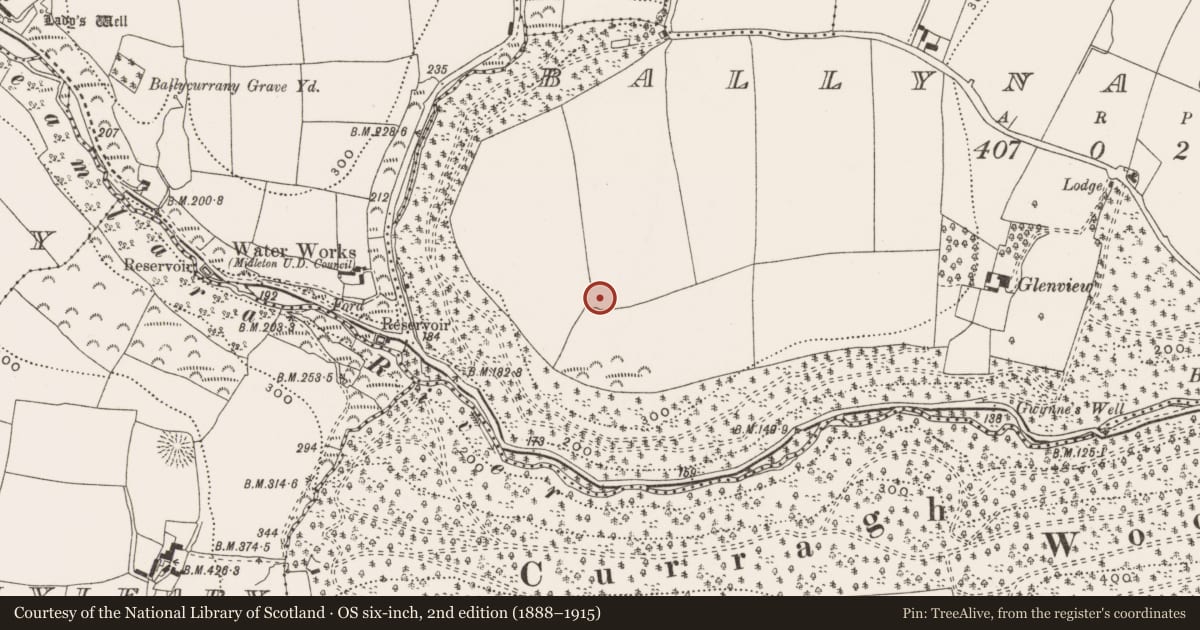 Ordnance Survey six-inch map, 2nd edition (1888–1915) covering the location of Ringfort - rath, Ballynaclashy, County Cork, with a pin at the register's coordinates