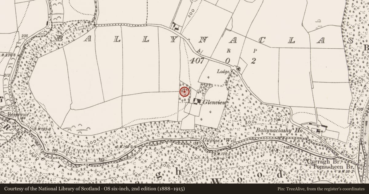 Ordnance Survey six-inch map, 2nd edition (1888–1915) covering the location of Ringfort - rath, Ballynaclashy, County Cork, with a pin at the register's coordinates