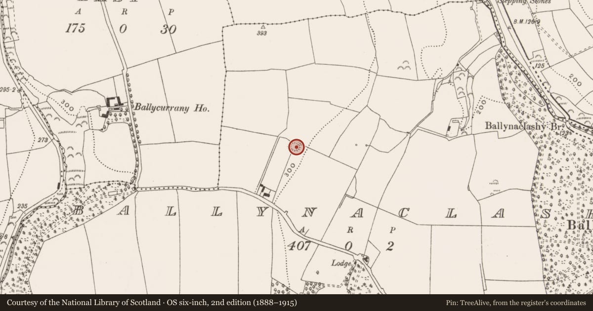 Ordnance Survey six-inch map, 2nd edition (1888–1915) covering the location of Ringfort - rath, Ballynaclashy, County Cork, with a pin at the register's coordinates