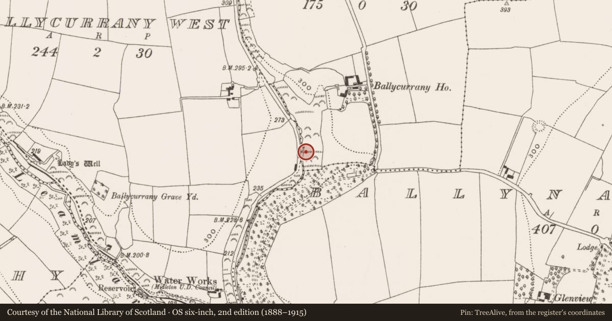 Ordnance Survey six-inch map, 2nd edition (1888–1915) covering the location of Fulacht fia, Ballycurrany East, County Cork, with a pin at the register's coordinates