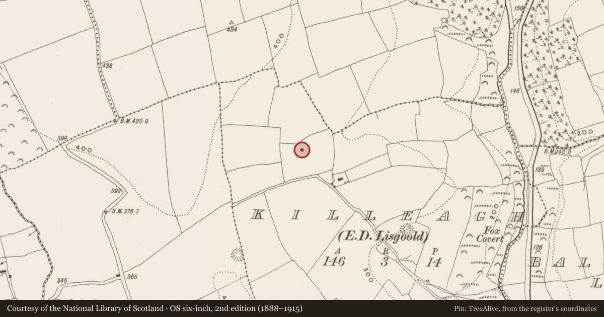 Ordnance Survey six-inch map, 2nd edition (1888–1915) covering the location of Ringfort - rath, Killeagh (Barrymore By., Ballycurrany Par.), County Cork, with a pin at the register's coordinates