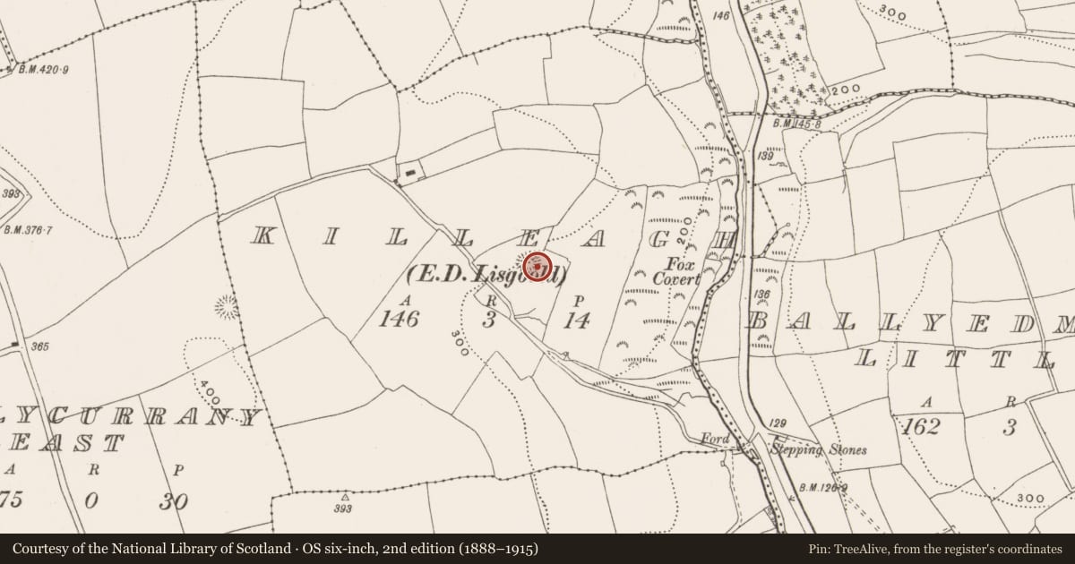 Ordnance Survey six-inch map, 2nd edition (1888–1915) covering the location of Ringfort - rath, Killeagh (Barrymore By., Ballycurrany Par.), County Cork, with a pin at the register's coordinates