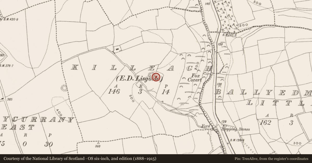 Ordnance Survey six-inch map, 2nd edition (1888–1915) covering the location of Souterrain, Killeagh (Barrymore By., Ballycurrany Par.), County Cork, with a pin at the register's coordinates