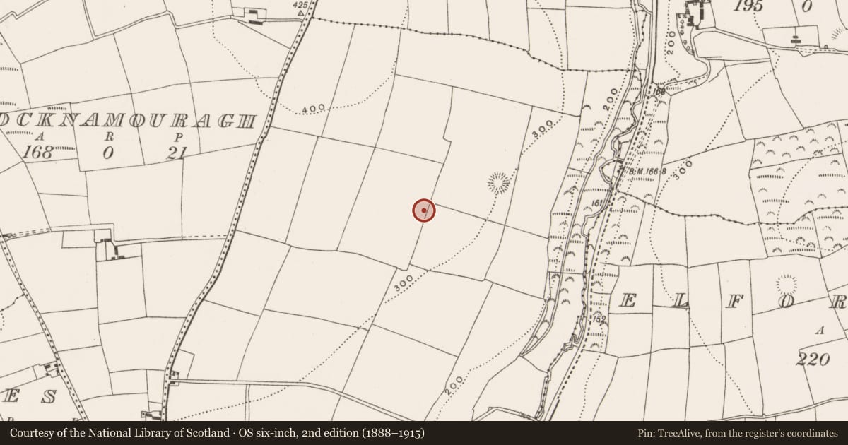 Ordnance Survey six-inch map, 2nd edition (1888–1915) covering the location of Ringfort - rath, Ballymacsliney, County Cork, with a pin at the register's coordinates