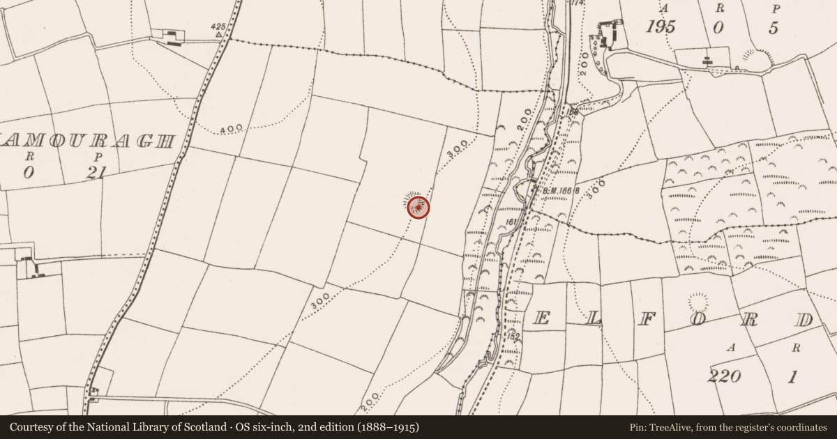 Ordnance Survey six-inch map, 2nd edition (1888–1915) covering the location of Ringfort - rath, Ballymacsliney, County Cork, with a pin at the register's coordinates