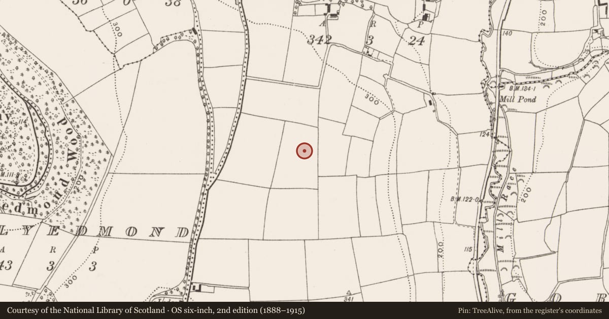 Ordnance Survey six-inch map, 2nd edition (1888–1915) covering the location of Ringfort - rath, Ballymacsliney, County Cork, with a pin at the register's coordinates