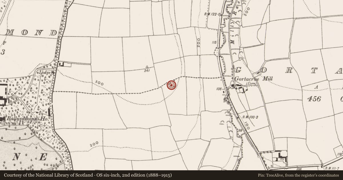 Ordnance Survey six-inch map, 2nd edition (1888–1915) covering the location of Ringfort - rath, Carrigogna, County Cork, with a pin at the register's coordinates