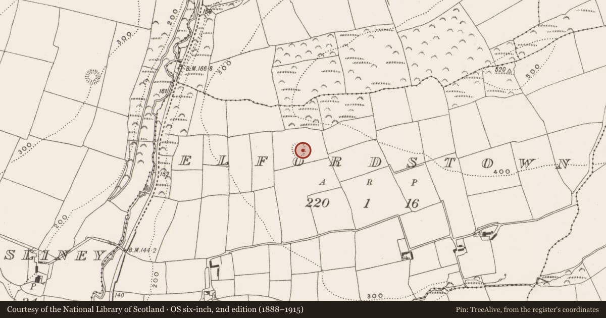 Ordnance Survey six-inch map, 2nd edition (1888–1915) covering the location of Ringfort - rath, Elfordstown, County Cork, with a pin at the register's coordinates
