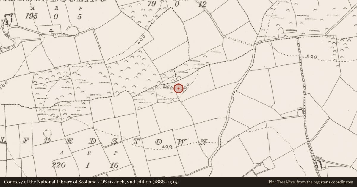 Ordnance Survey six-inch map, 2nd edition (1888–1915) covering the location of Enclosure, Elfordstown, County Cork, with a pin at the register's coordinates