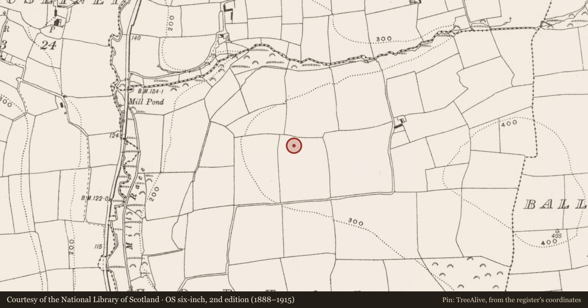 Ordnance Survey six-inch map, 2nd edition (1888–1915) covering the location of Ringfort - rath, Gortacrue, County Cork, with a pin at the register's coordinates